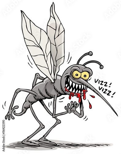 mosquito cartoon
