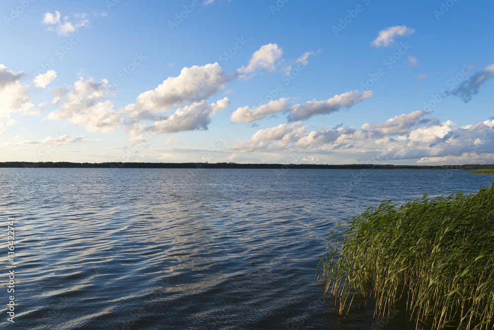 Wild Masuria Wild Masuria