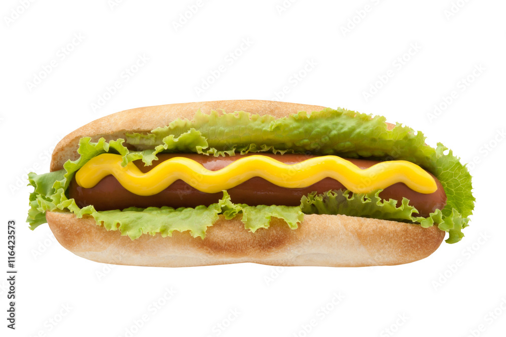 Hot Dog with mustard and lettuce isolated on white. American Fast food. National day.
