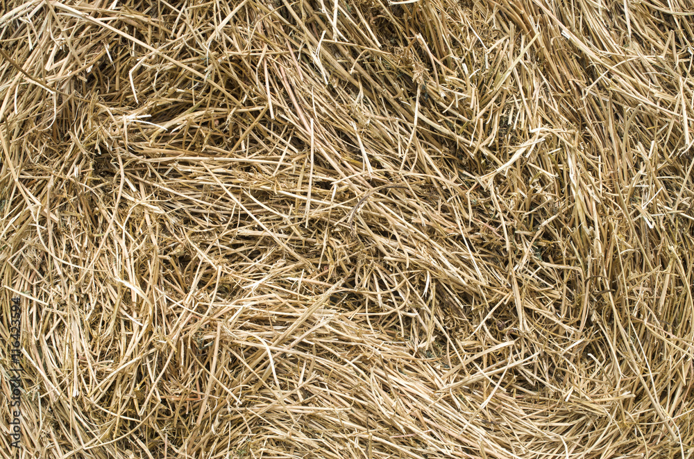 Dry hay stack texture closeup Dry hay stack texture closeup