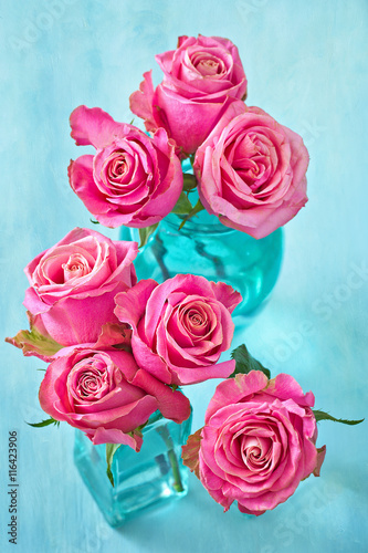 Close-up floral composition with a pink roses on a blue background .