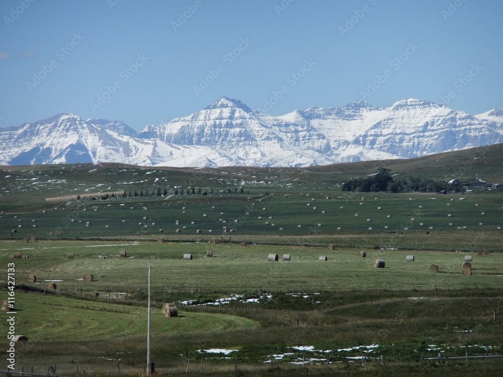 Obraz premium Farming in the mountains