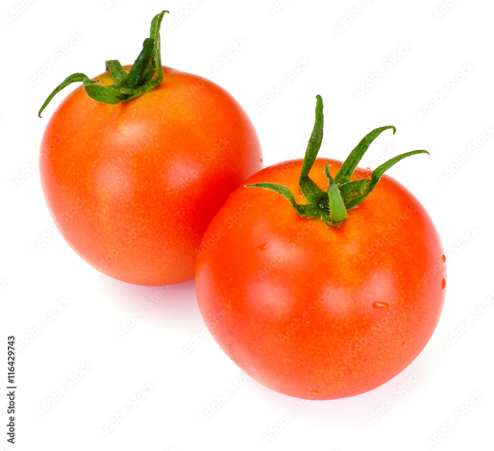 Red Tomatoes Isolated on a White Background Red Tomatoes Isolated on a White Background