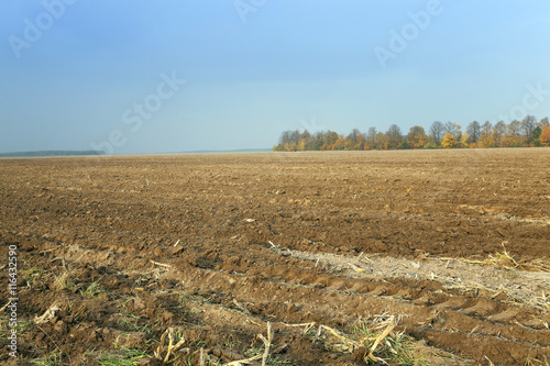 plowed field , agricultural