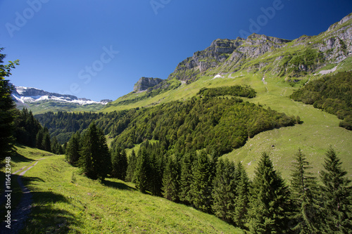 Lovely Alpine scenery on a sunny summer day, high mountain range and meadow view