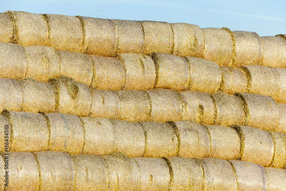 stack of straw in the field