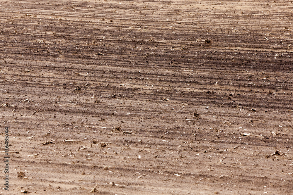 Naklejka premium plowed for crop land