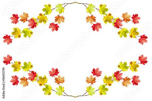 autumn leaves isolated on white background.