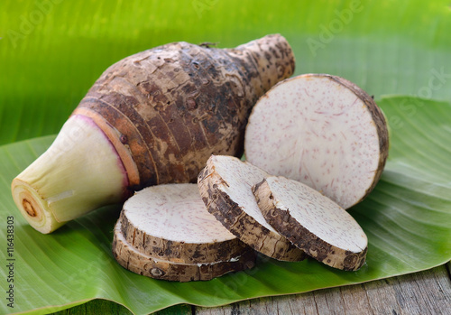 Canvas Print taro root