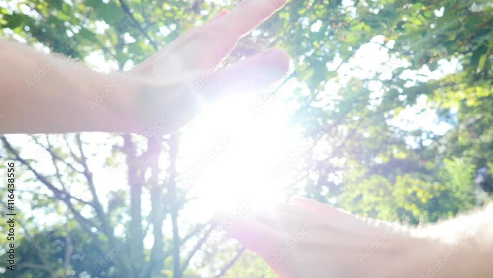 man raising hands into the sky - sun beam - sun light flare - carefree happy