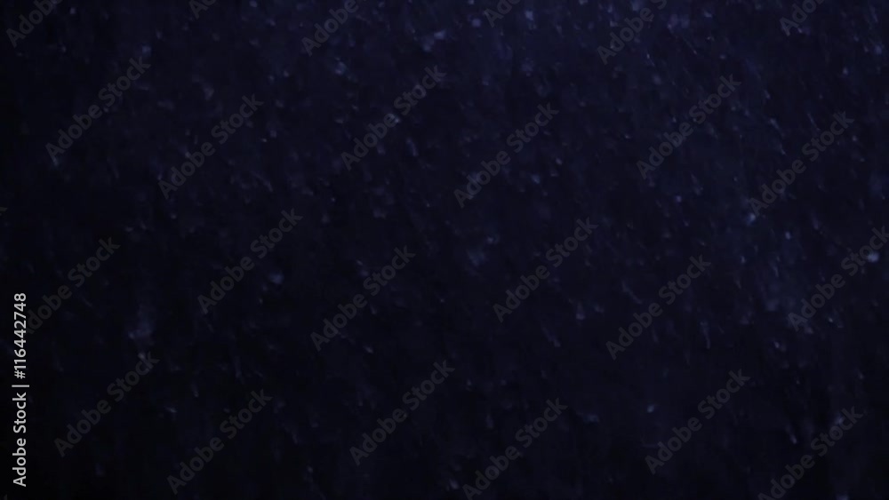 winter season scene of snow falling. cold weather background winter season scene of snow falling. cold weather background
