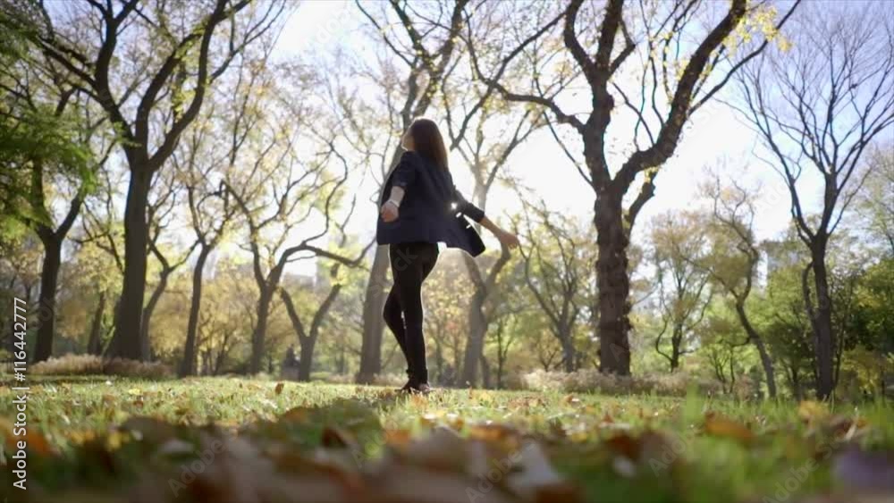 slow motion of young women enjoying colorful autumn park. happiness lifestyle slow motion of young women enjoying colorful autumn park. happiness lifestyle