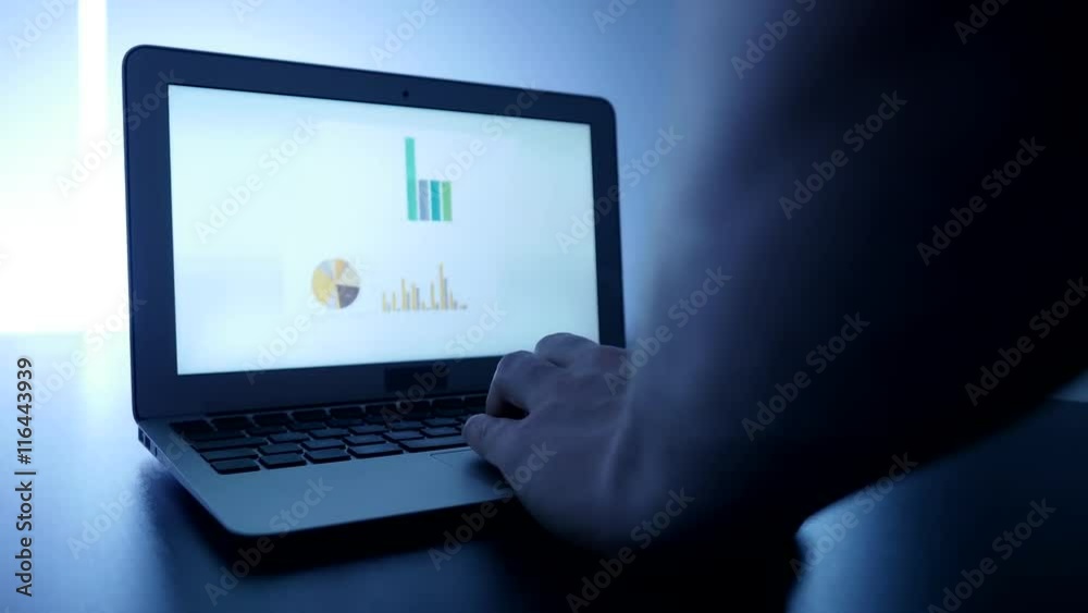 analyzing charts and diagrams on laptop computer screen. financial business desk analyzing charts and diagrams on laptop computer screen. financial business desk
