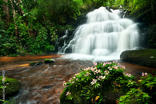 Waterfall in deep forest