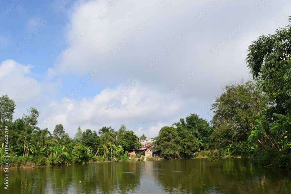 Vietnamese countryside with house next to the fishing pond Vietnamese countryside with house next to the fishing pond