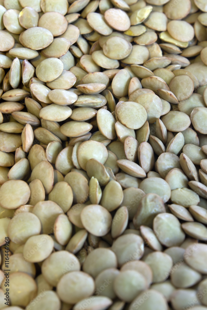 This is a closeup photograph of Green lentils This is a closeup photograph of Green lentils