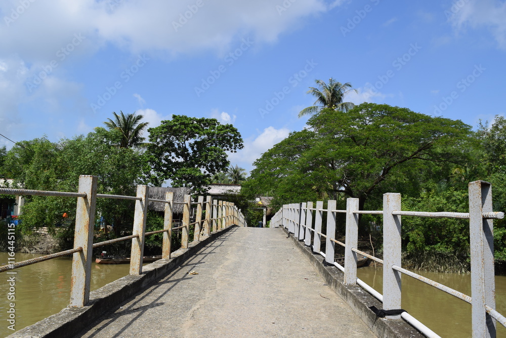 bridge go to river islet in Vietnamese countryside