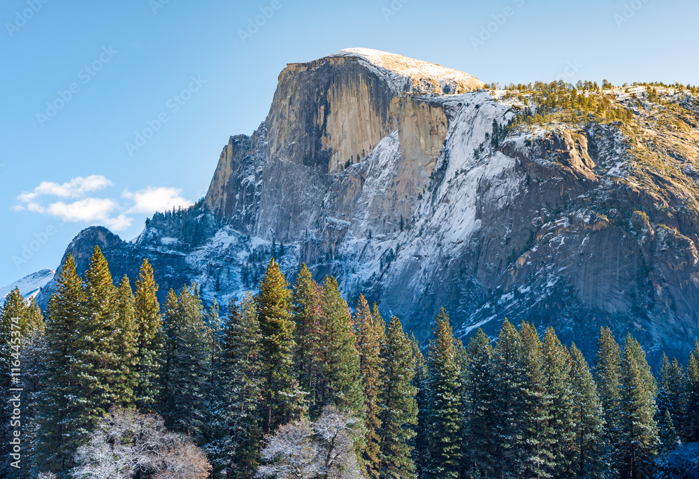 Fototapeta premium Half Dome Yosemite