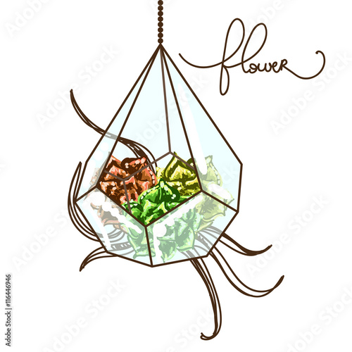Vector illustrtion with vase and succulent