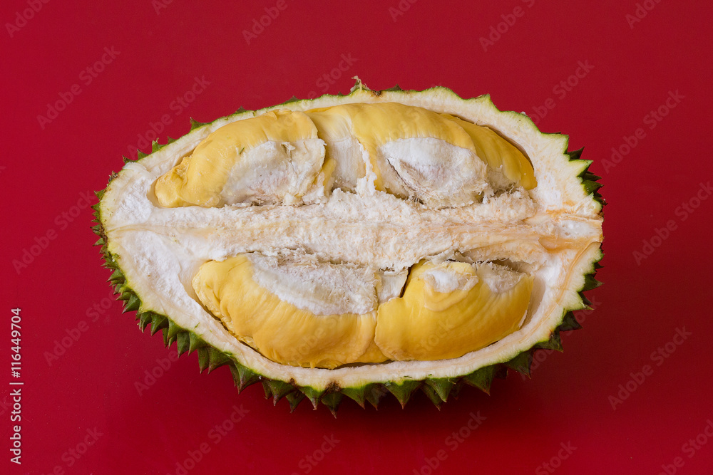 Fototapeta premium King of fruits, durian on red background. Close up