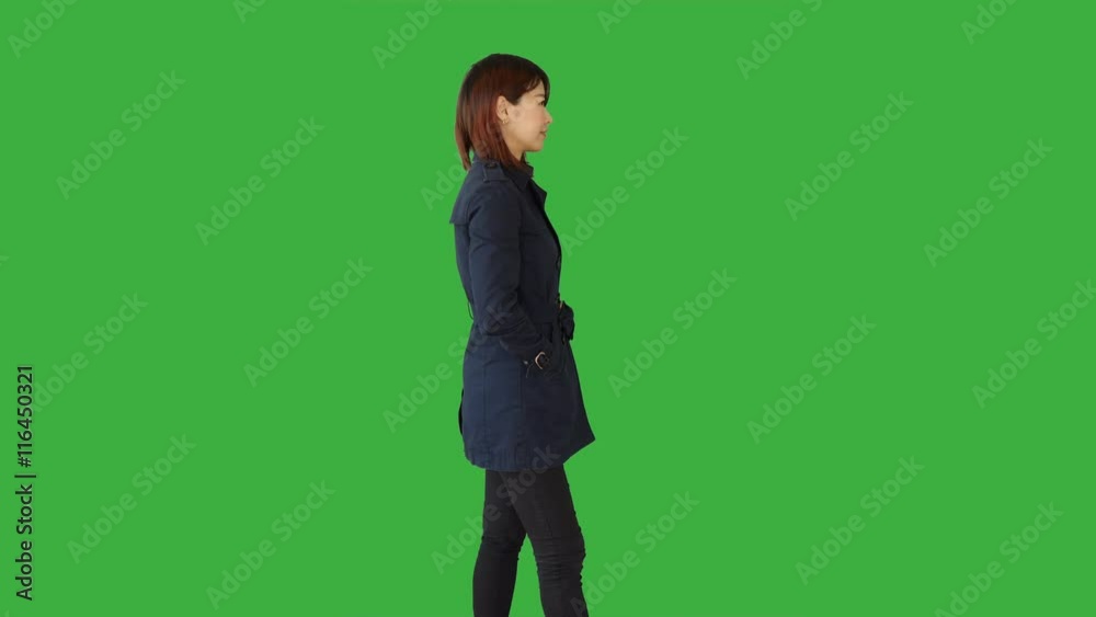 young attractive african american women on green-screen. business sales person young attractive african american women on green-screen. business sales person