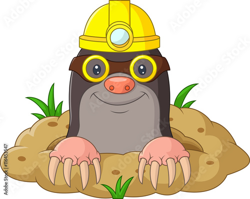 Cartoon funny mole wearing helmet and glasses photo