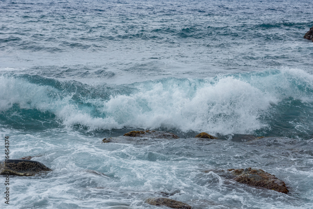 Fototapeta premium surfować