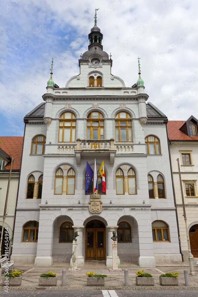 Novo Mesto's Town Hall, Slovenia