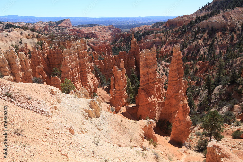 Rainbow point, Bryce canyon NP 