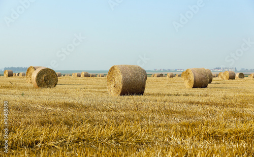 stack of straw in the field