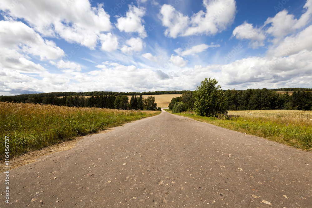 Spring road, countryside