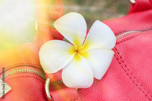 White flower on a coral bag design, effects, toning photo