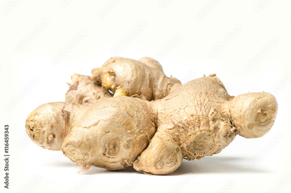 Ginger on white background Ginger on white background