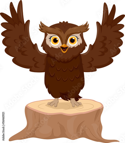 Owl Speech
