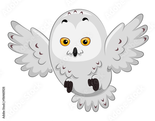 Snowy Owl