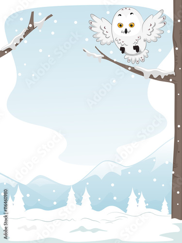 Snowy Owl Perch