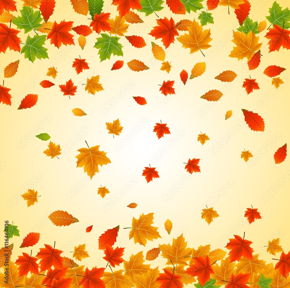 Background with maple autumn leaves Background with maple autumn leaves
