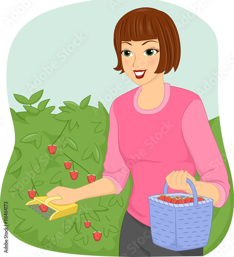 Girl Fruit Picker