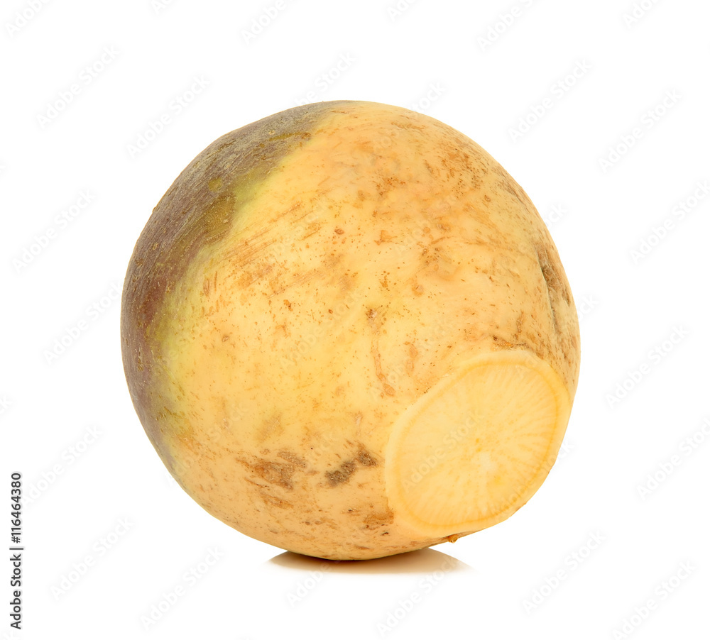 Swede isolated on the white background