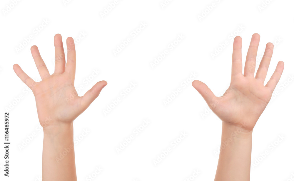 Child hands isolated on white Child hands isolated on white