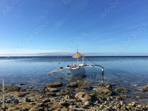 Catamaran Boat at the reef during low tide photo