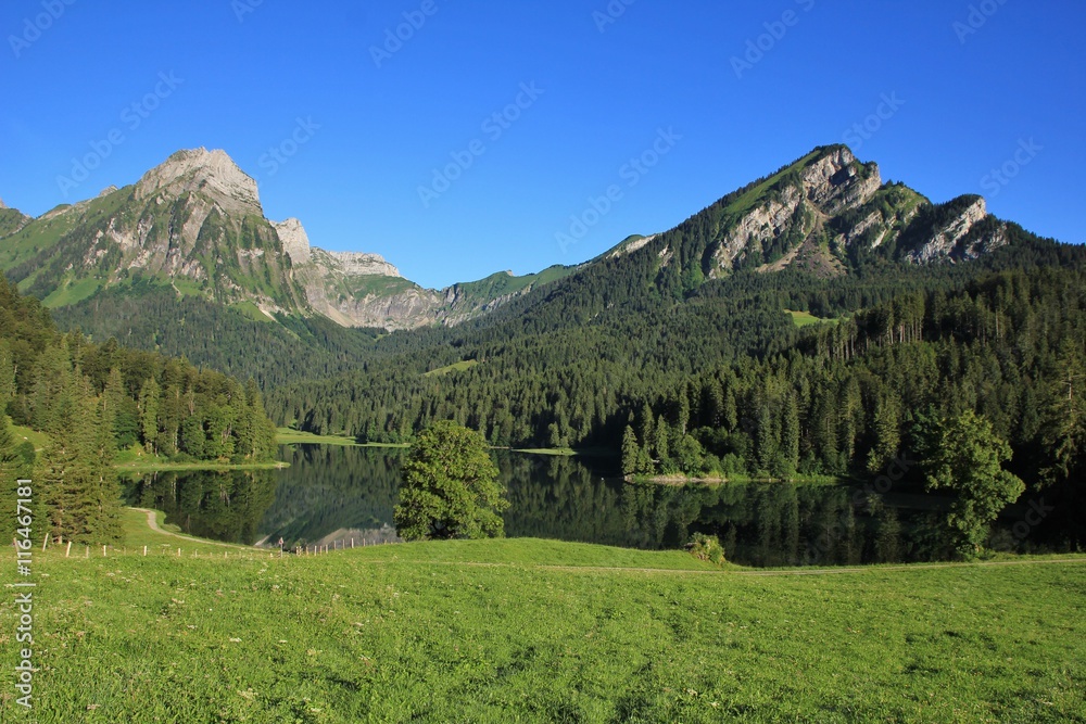 Idyllic lake Obersee and Mt Brunnelistock