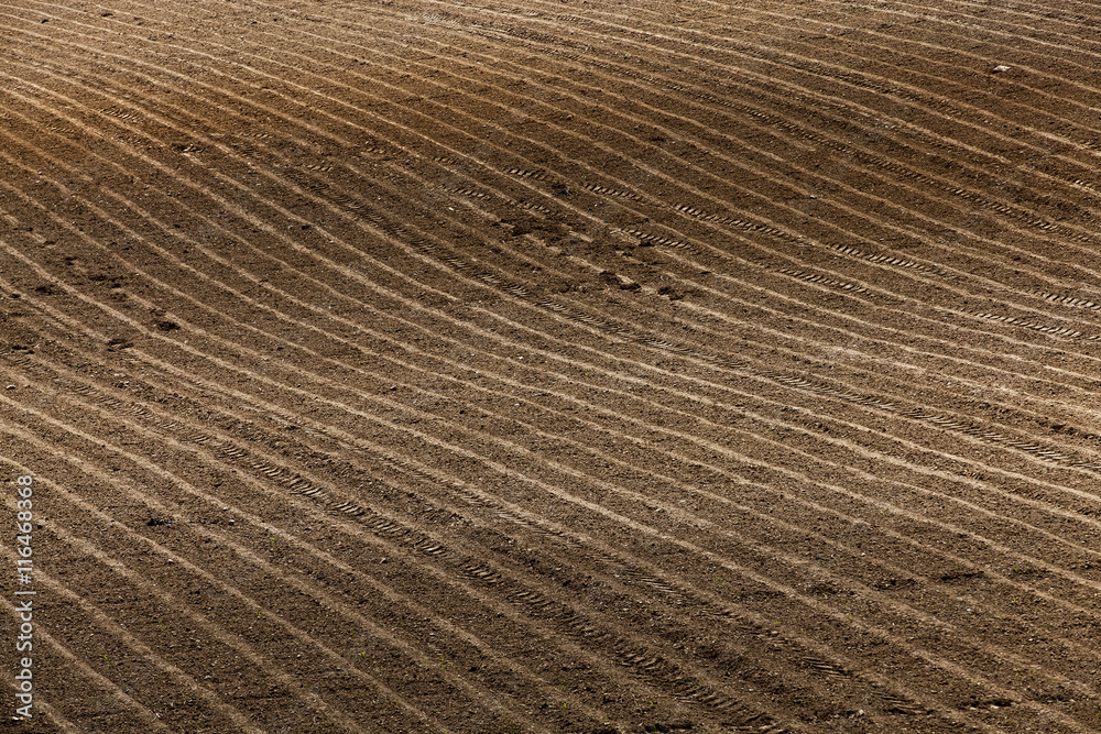 plowed agricultural land