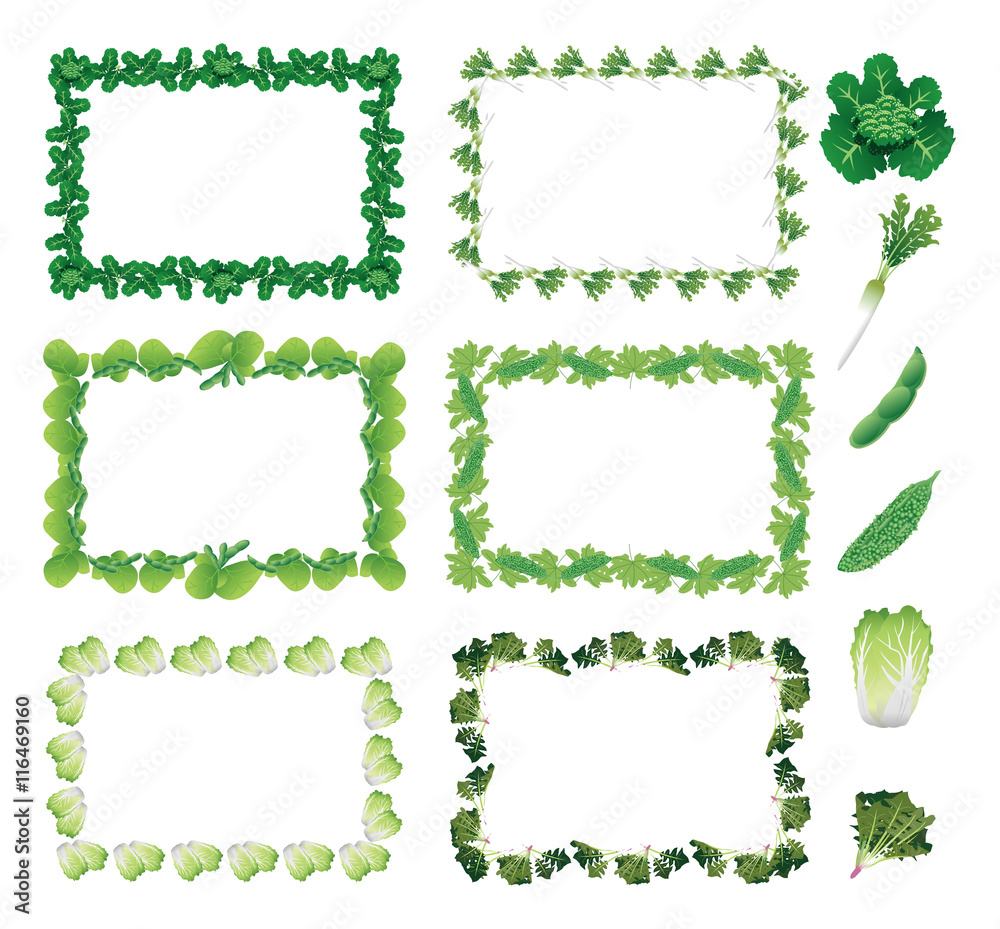 野菜フレーム 四角 ブロッコリー 大根 枝豆 ゴーヤ 白菜 ホウレンソウ Stock Vector Adobe Stock
