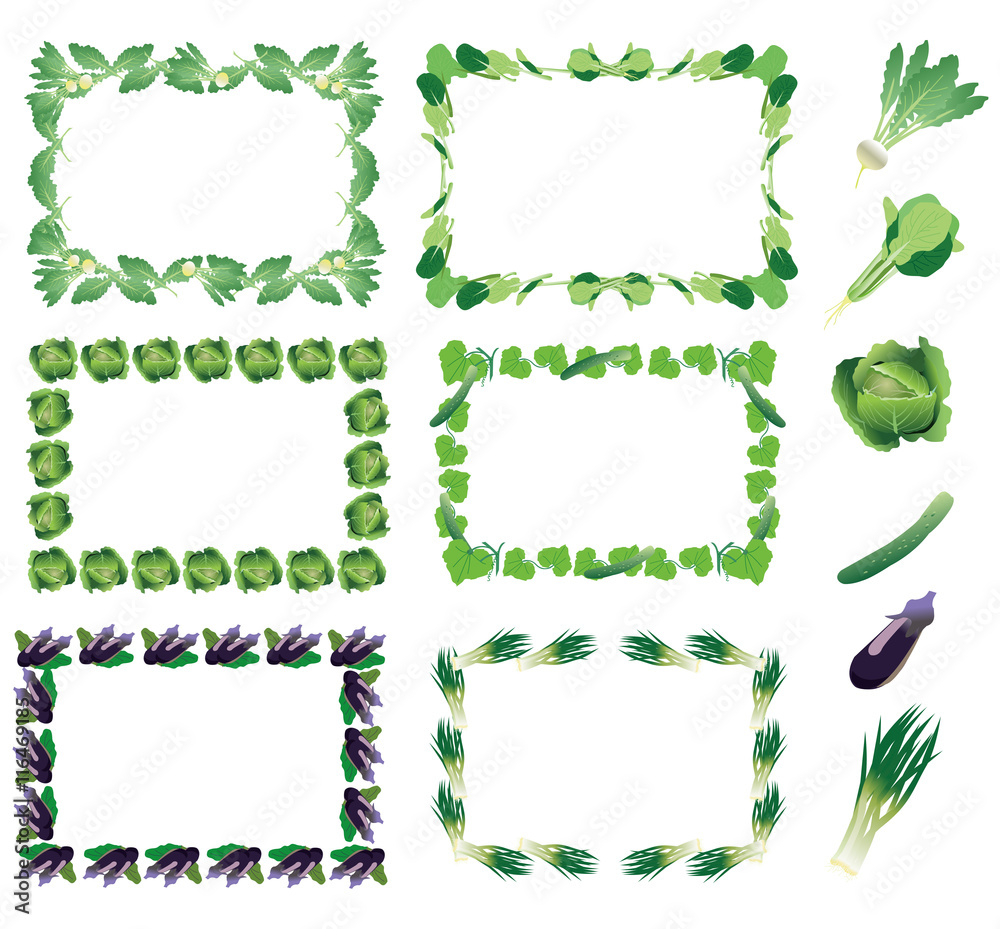 野菜フレーム 丸 カブ 小松菜 キャベツ キュウリ ナス ネギ Stock Vector Adobe Stock