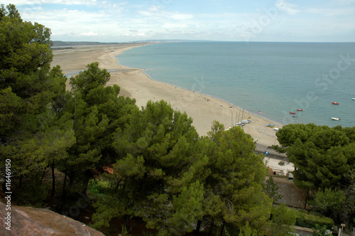 Leucate, Aude, plage des Coussoules et pins maritimes photo