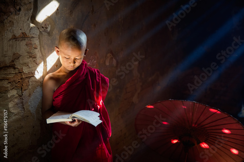 Canvas Print Young Buddhist monk reading