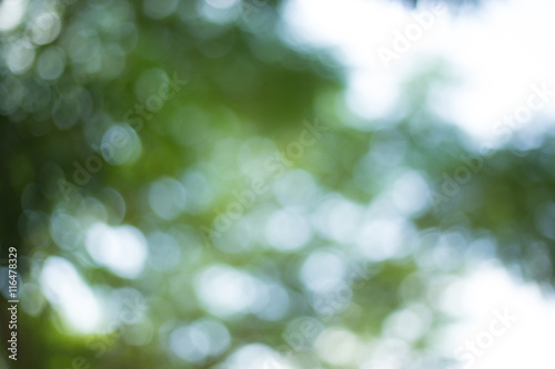 Abstract Green Bokeh Natural Background