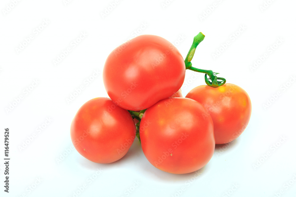 Group of small tomato