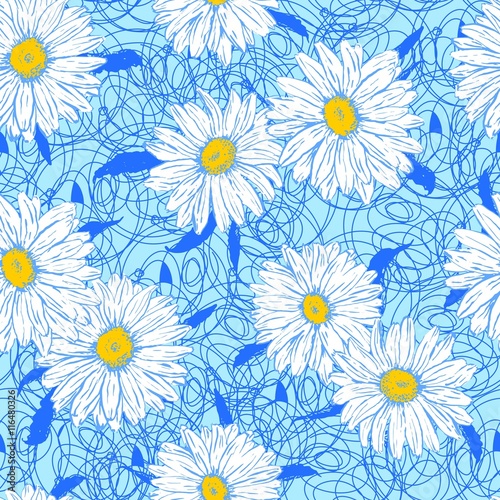 White daisies on a lace background